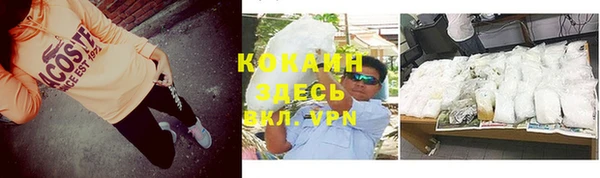сатива Кукмор