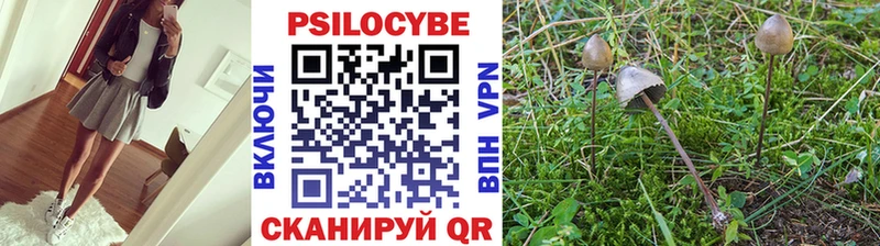 Галлюциногенные грибы Cubensis Купить Асбест